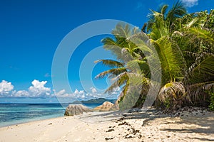 Tropical island beach, Source dÃ¢â¬â¢argent, La Digue, Seychelles photo